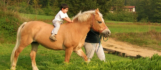 Scuola Pony Cavalli